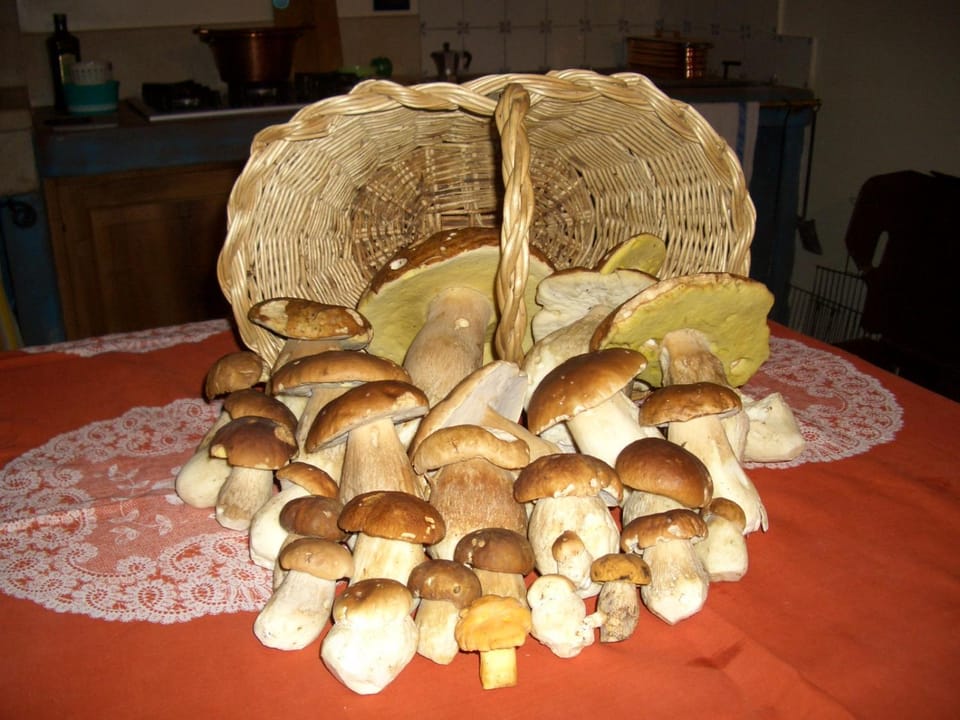 agriturismo la Meta Bed and Breakfast in Ledro