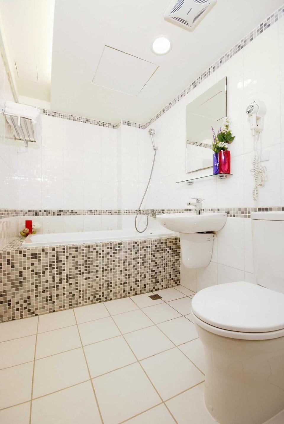 Toilet, Bathroom, Bath