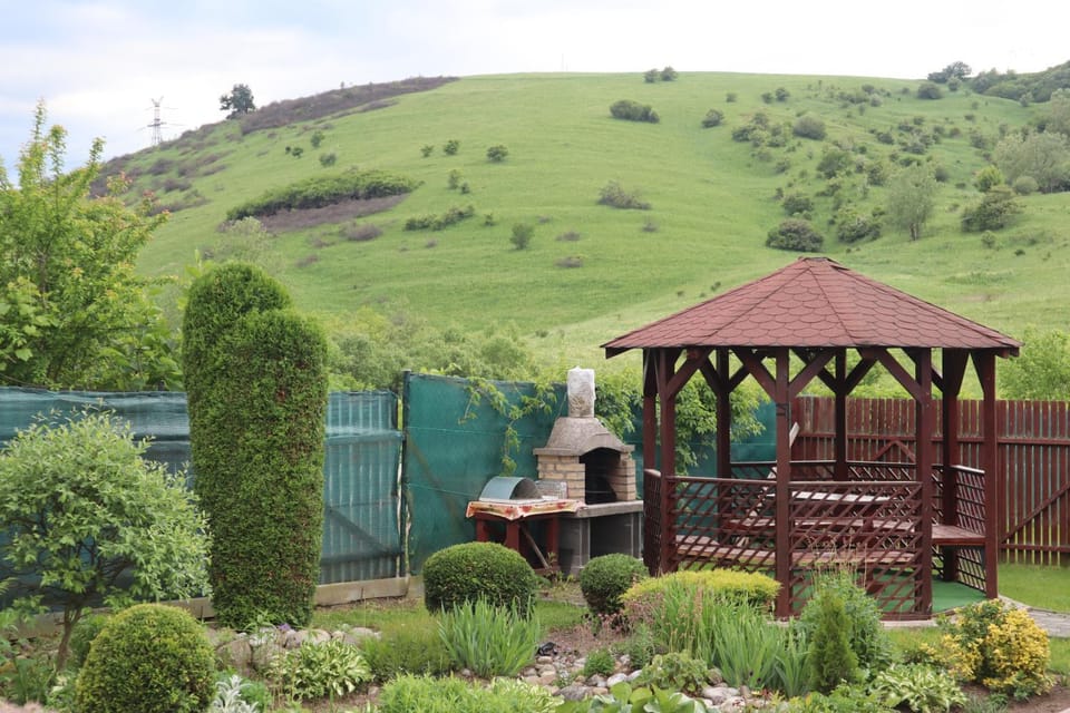 Natural landscape, BBQ facilities, Garden, Seating area, Mountain view