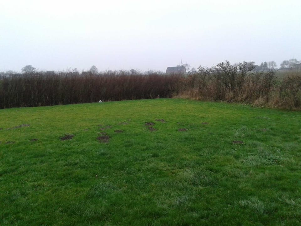 Natural landscape, Other