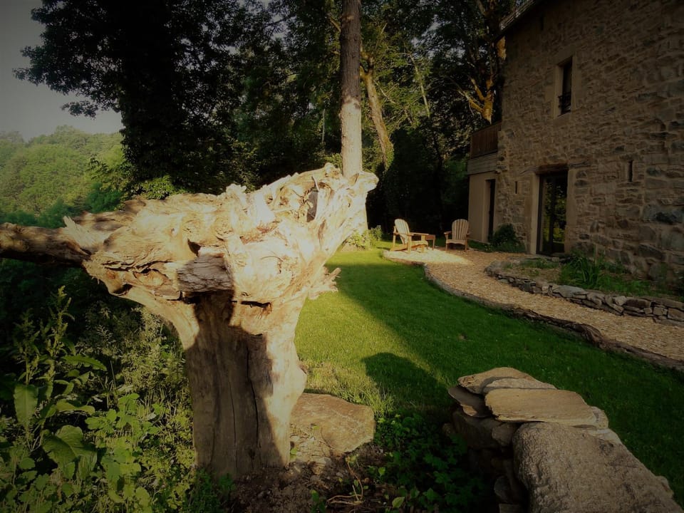 Summer, Garden, On site