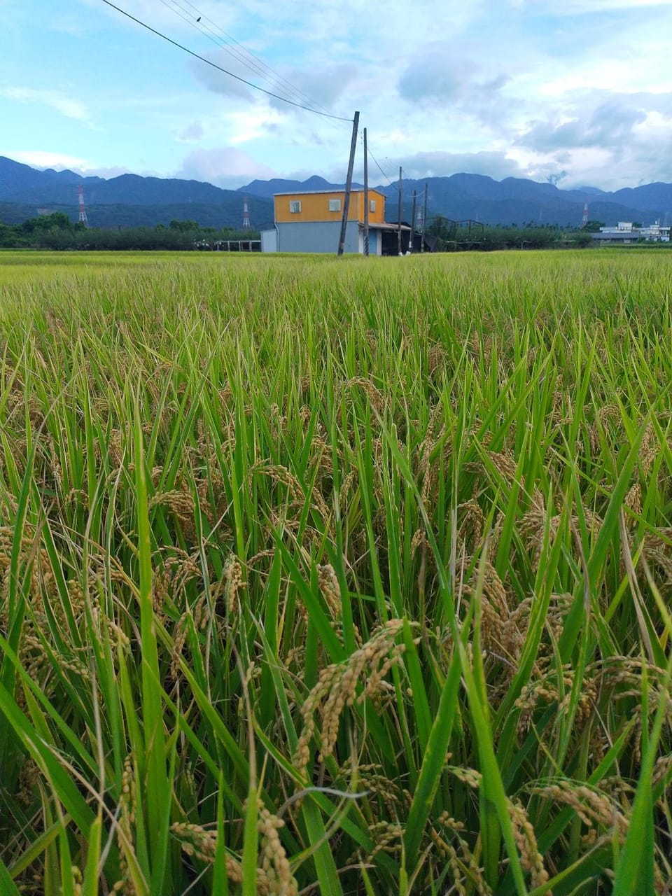啡藏幸褔小木屋羅東梅花湖Joy Home B&B Vacation rental in Taiwan, Province of China