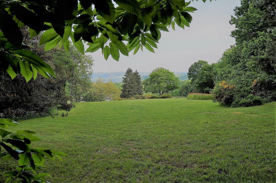 Summer, On site, Garden view
