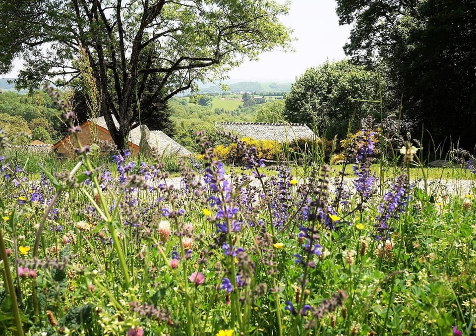 Spring, On site, Garden view