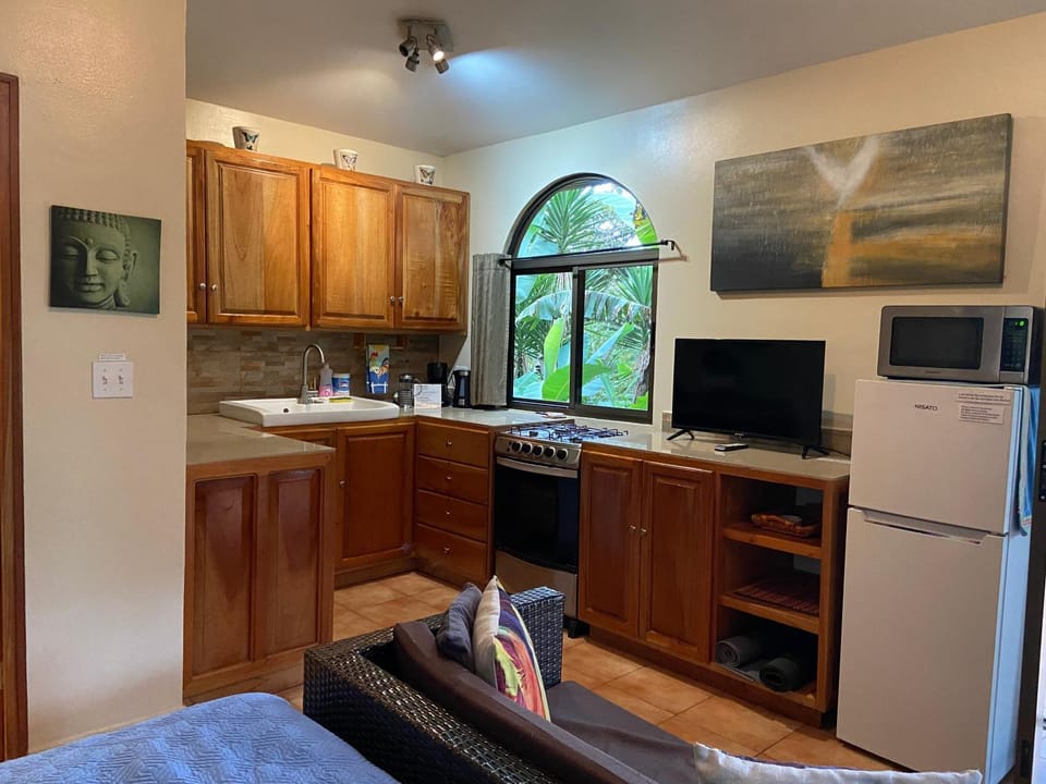 Kitchen or kitchenette, minibar, pet friendly
