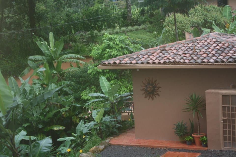 Garden view