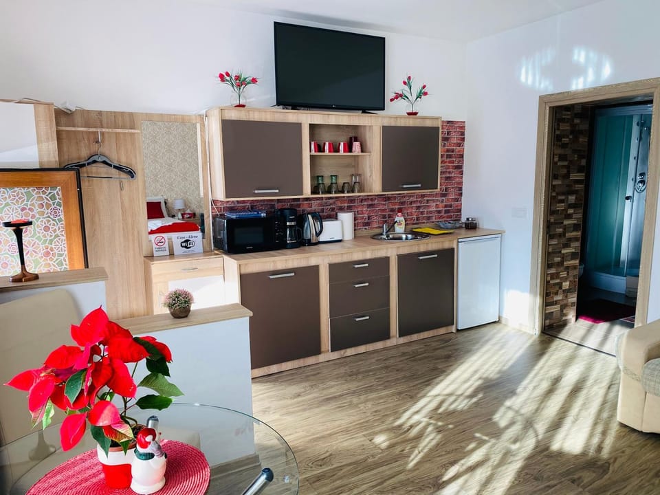 Casa Elena Bed and Breakfast in Sibiu