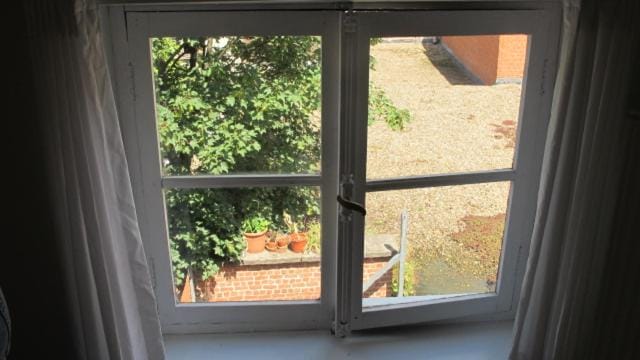 Garden view