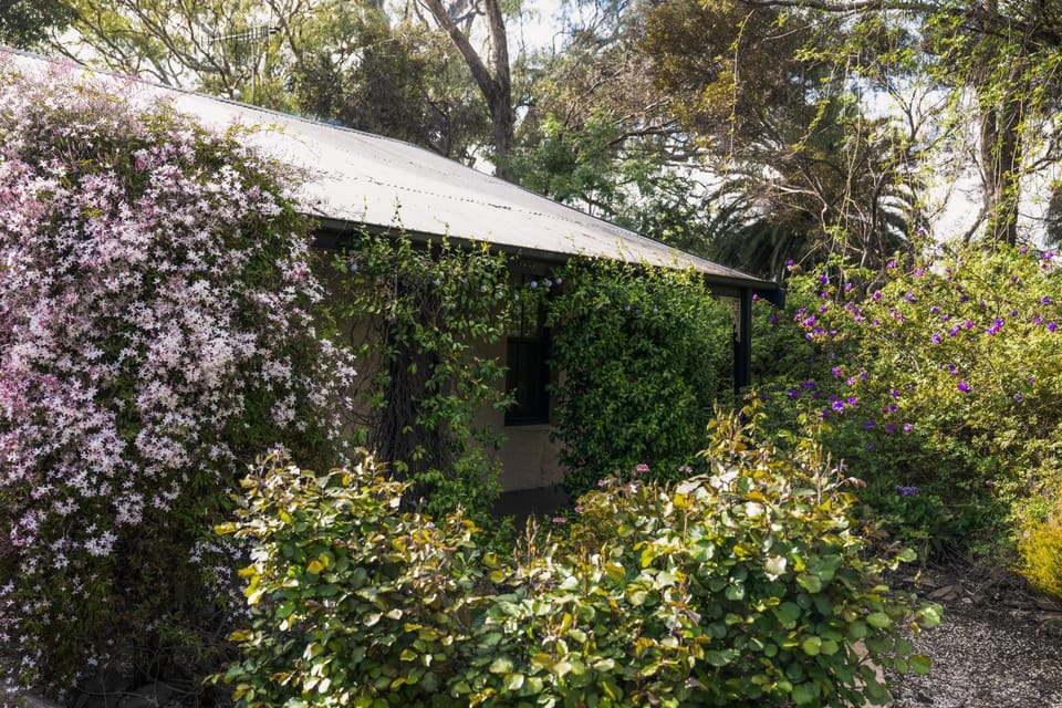 Garden, Garden view