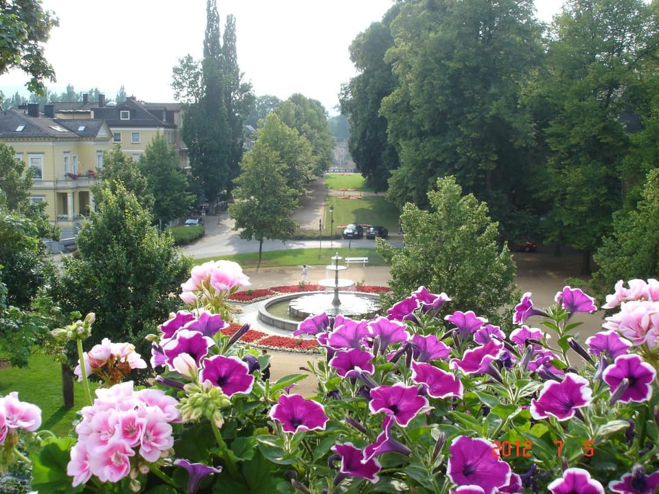 View (from property/room)