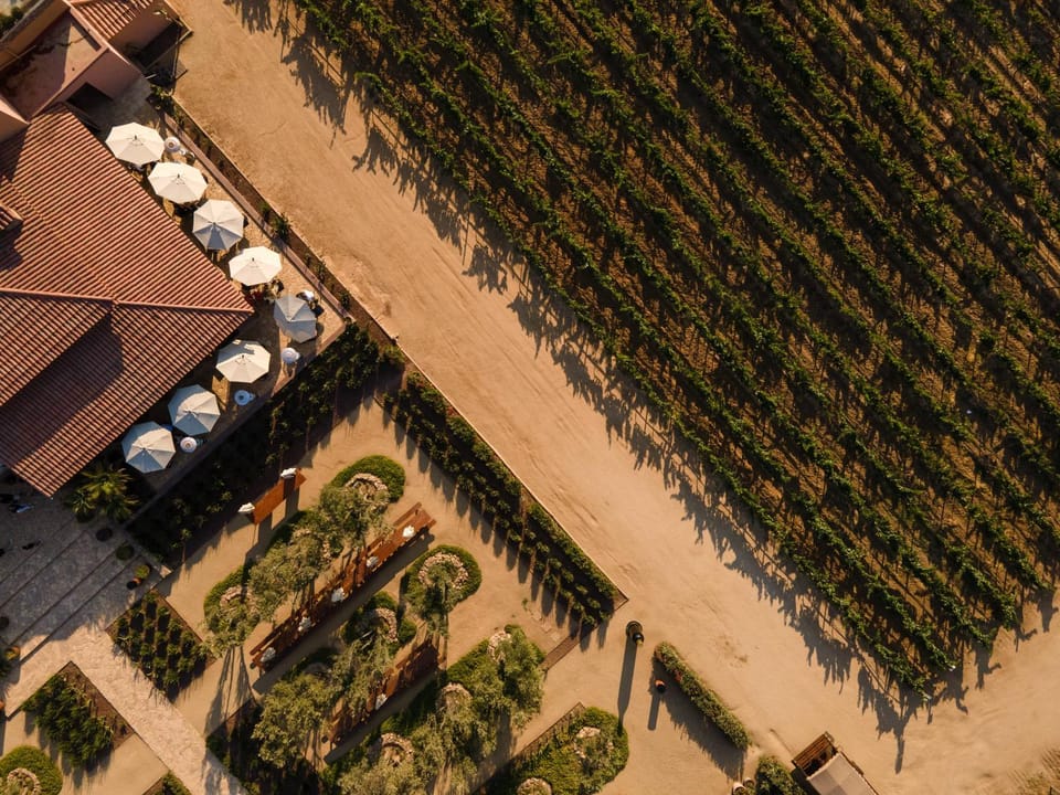 Spring, Bird's eye view, Garden, Garden view