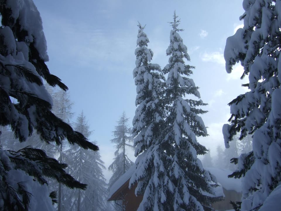 Natural landscape