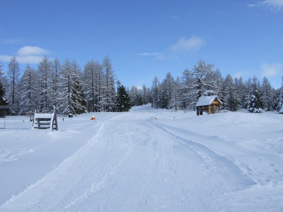 Skiing