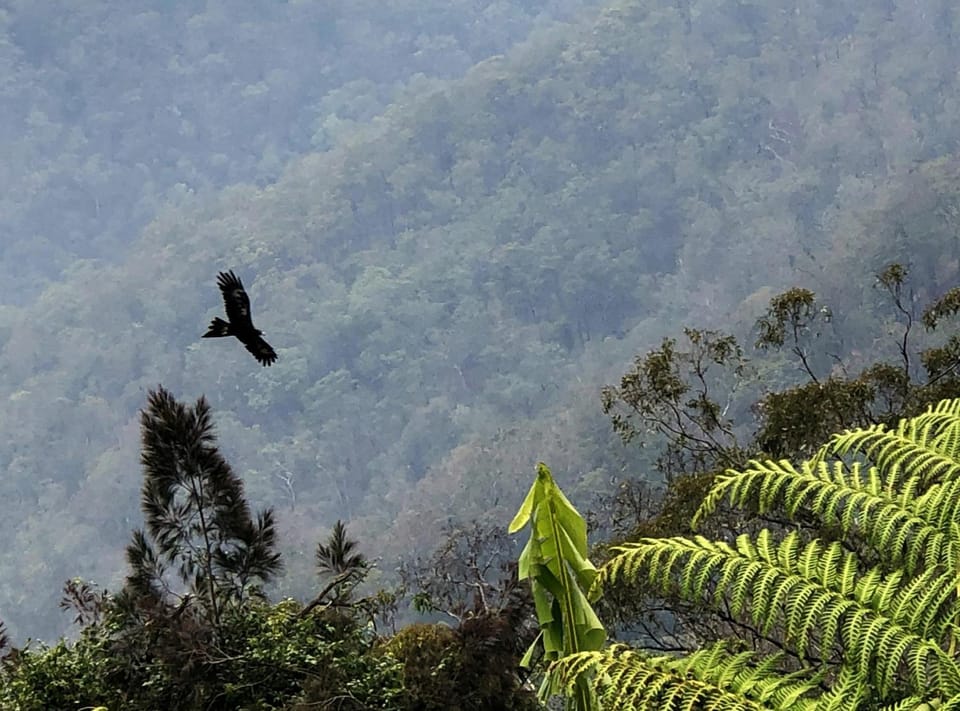 Bird's eye view, Garden view, Mountain view