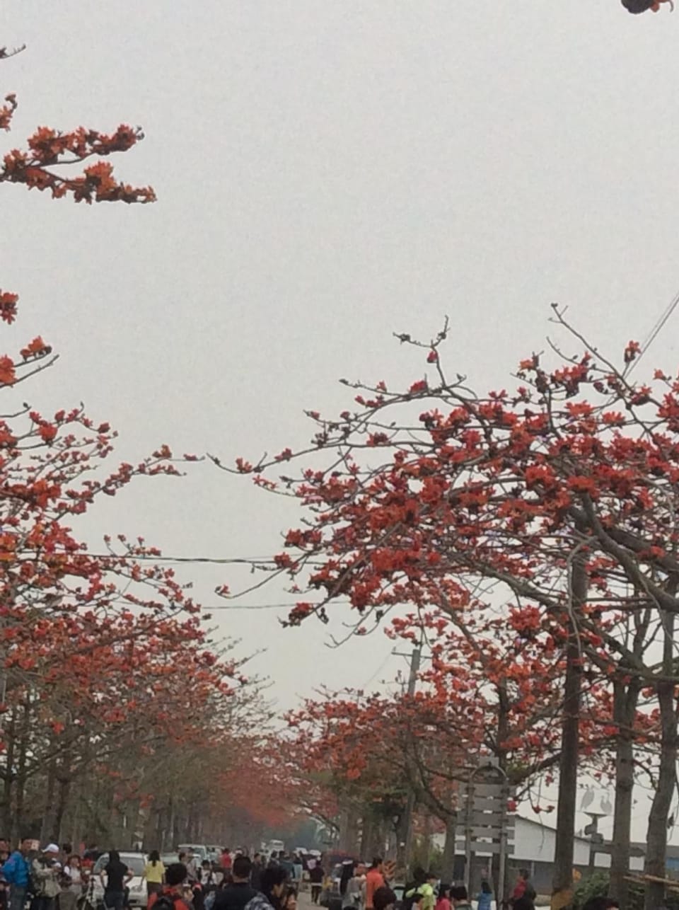84 In Tainan Bed and Breakfast in Kaohsiung