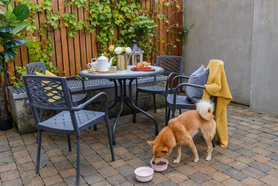 Patio, Pets