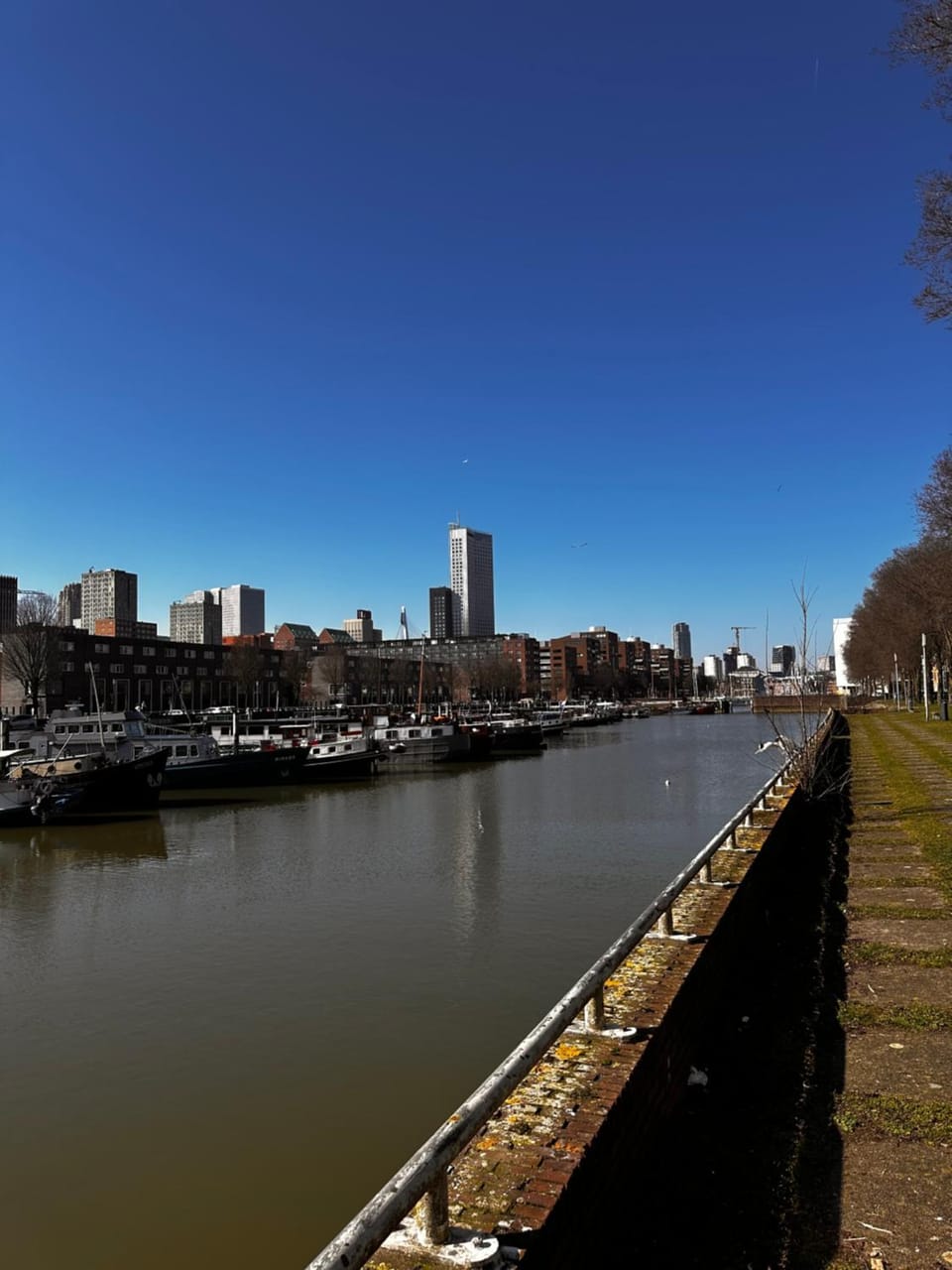View (from property/room), City view