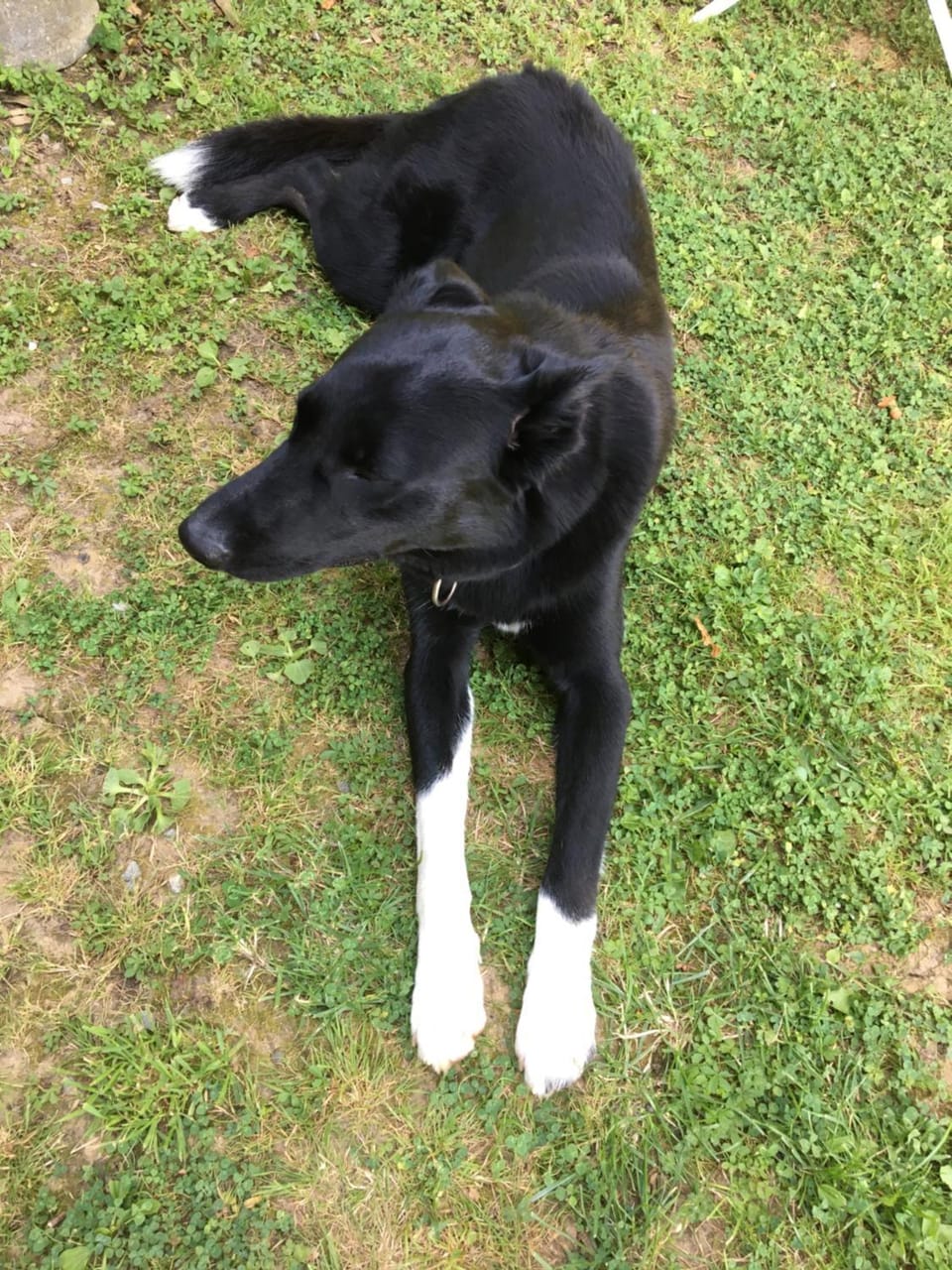 La maison aux prés Bed and Breakfast in Wallonia, Belgium