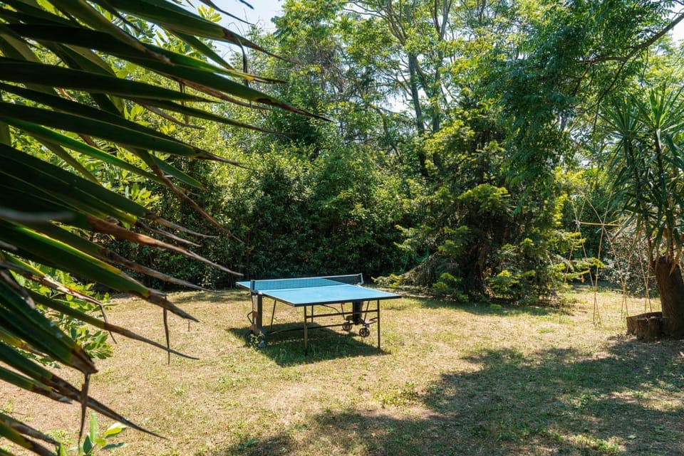 Table tennis, Entertainment
