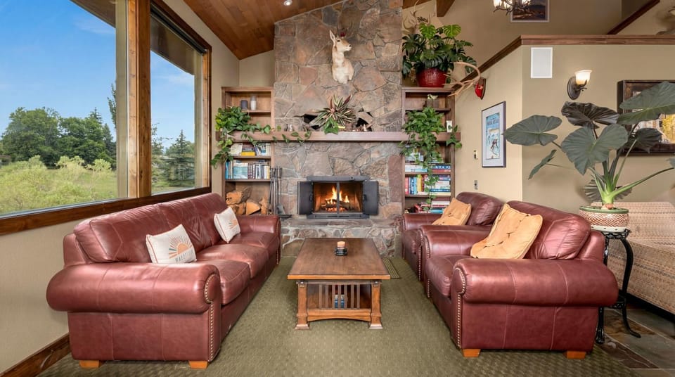 Library, Living room, Lobby or reception, fireplace