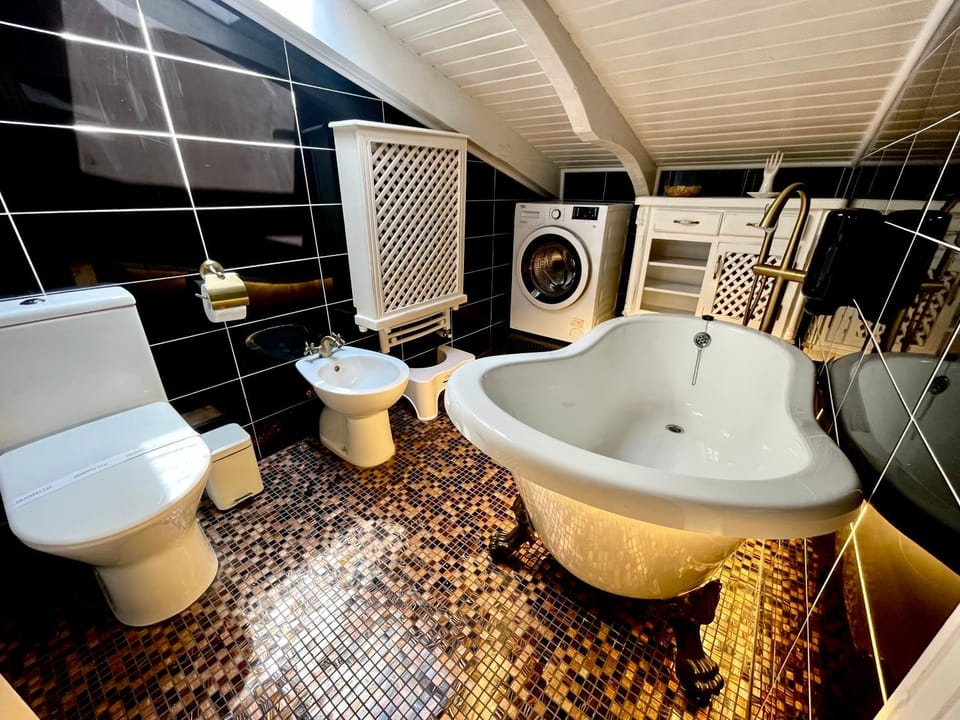 Vila Cochet Apartment in Brasov