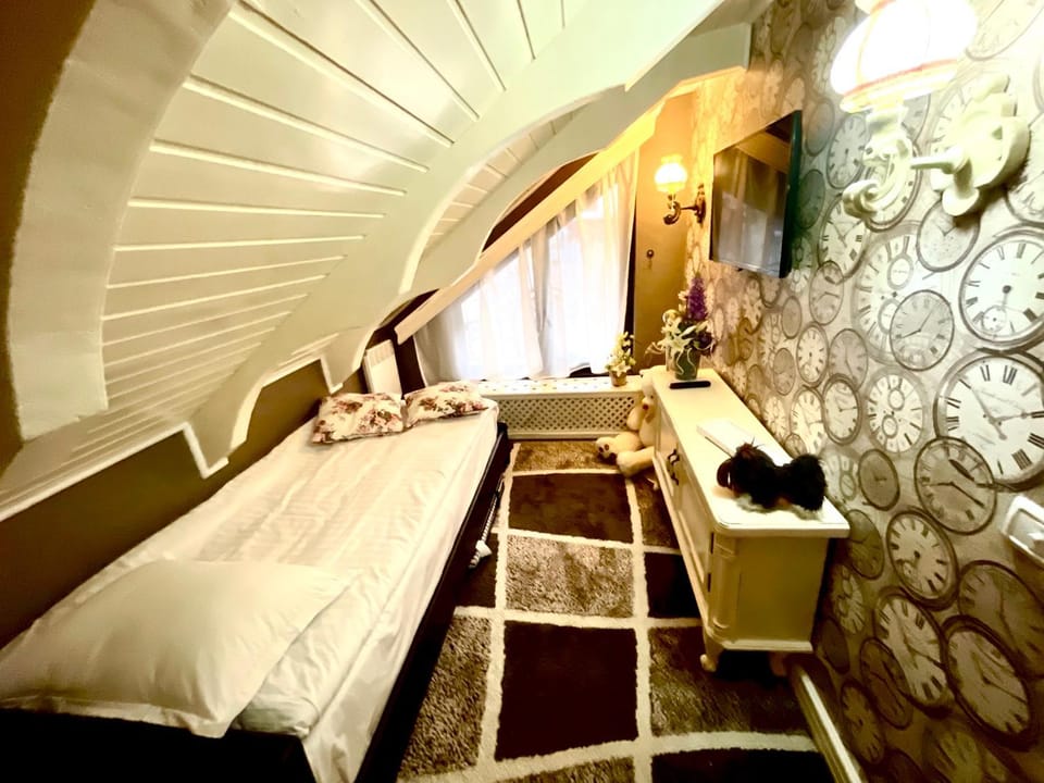 Vila Cochet Apartment in Brasov