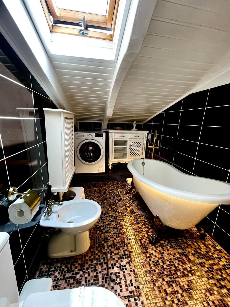 Vila Cochet Apartment in Brasov