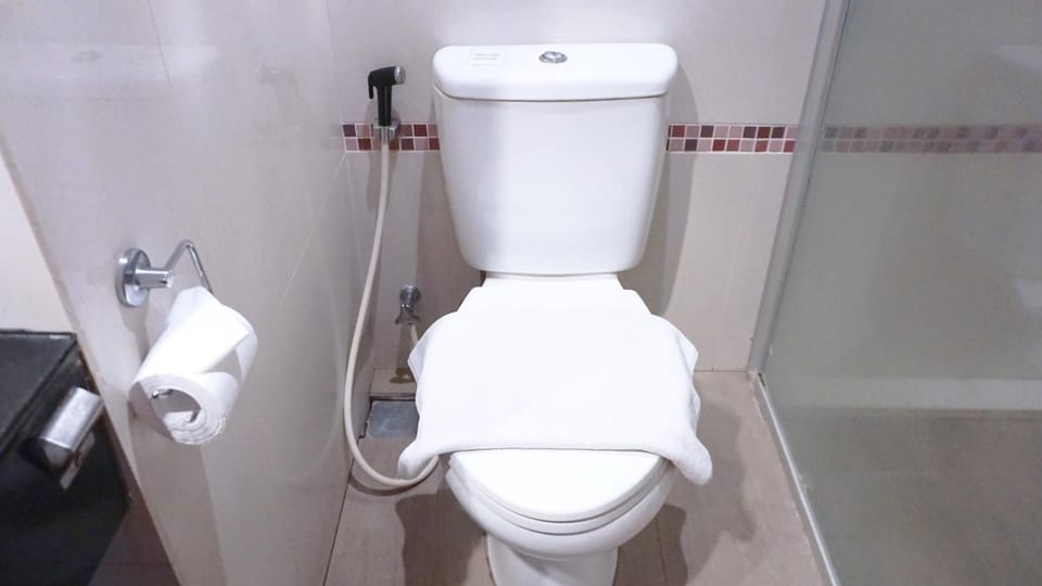 Toilet, Bathroom