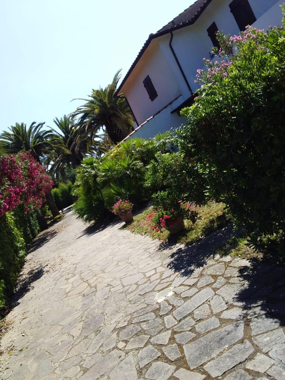 Le Palme Apartment in Tuscany