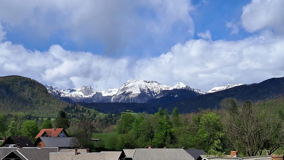 View (from property/room)