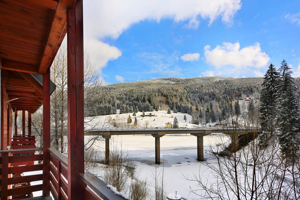 Winter, Lake view