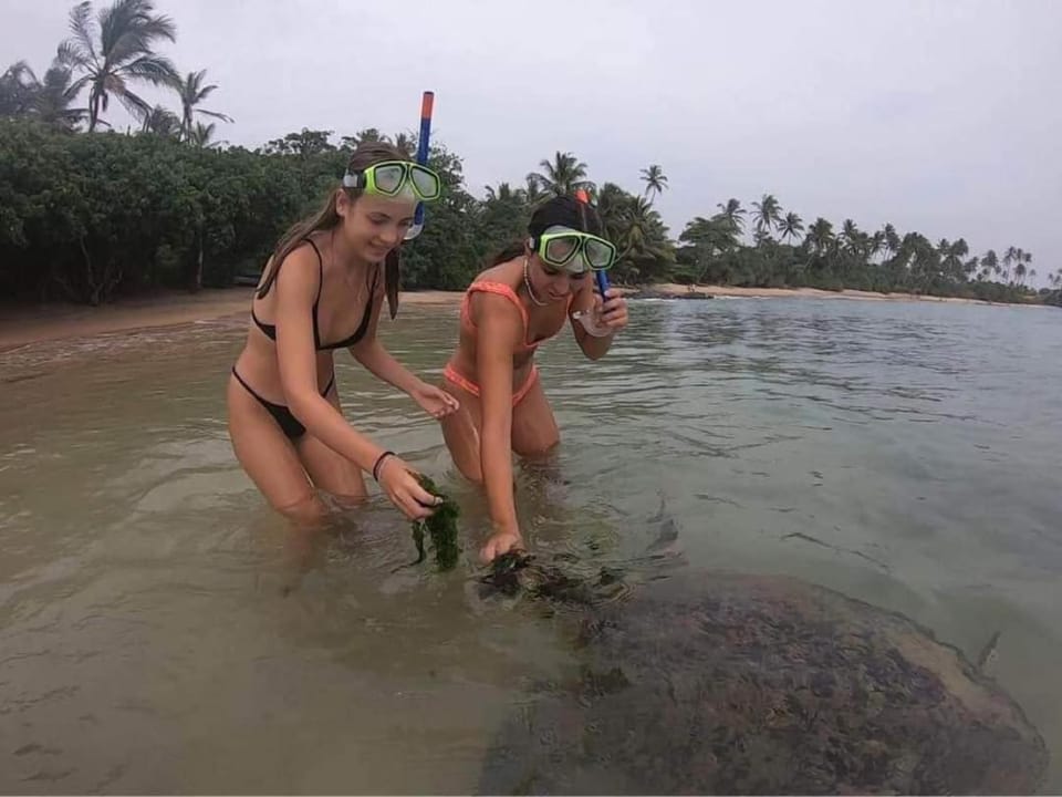 Activities, Snorkeling, Snorkeling