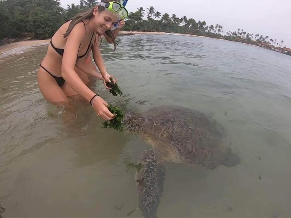 Activities, Snorkeling
