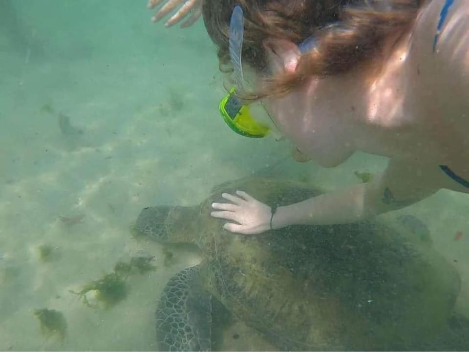Activities, Snorkeling, Snorkeling