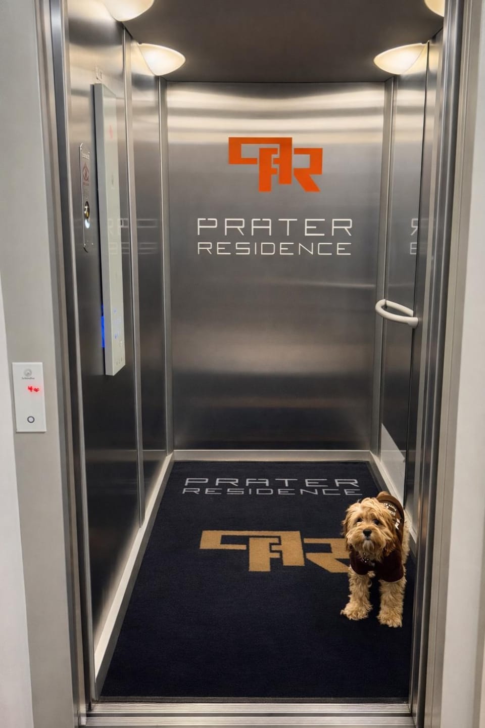 Property logo or sign, elevator