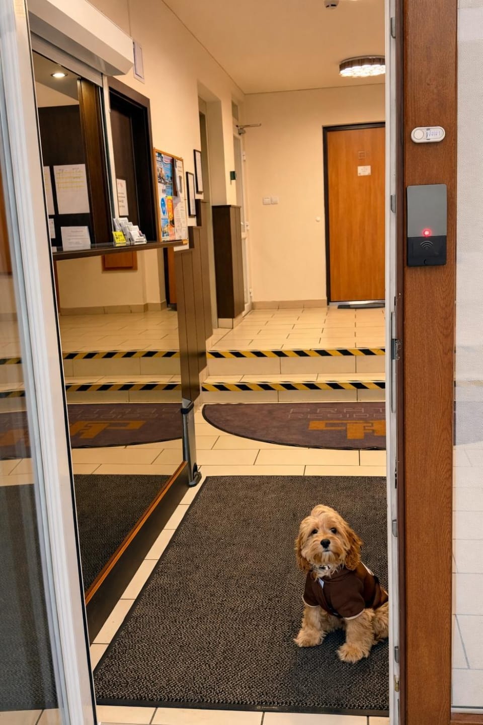Property building, Pets