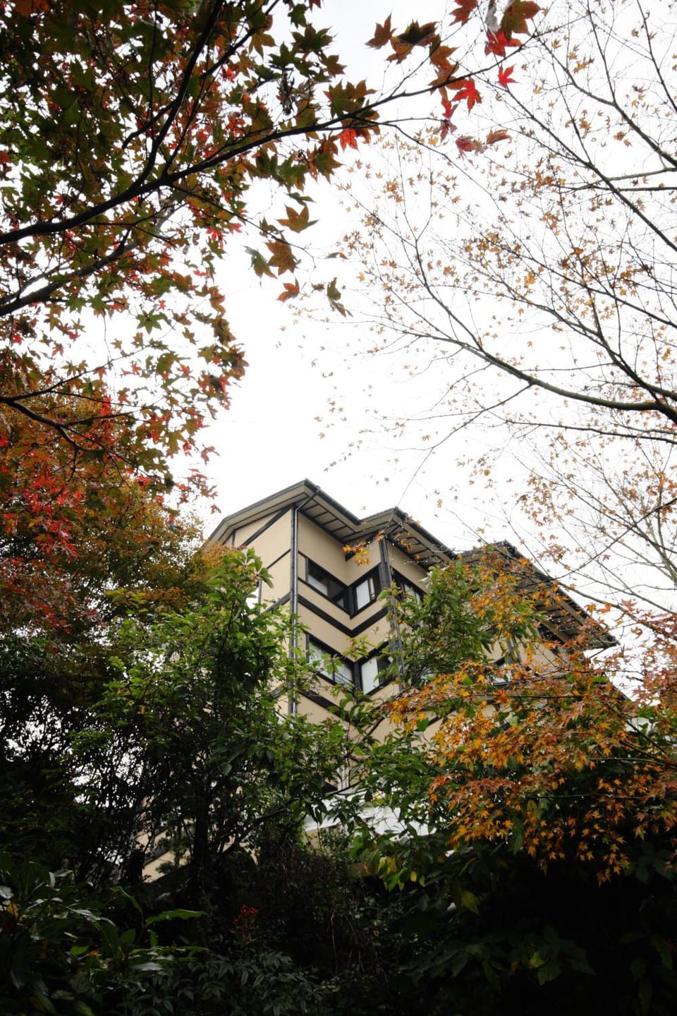 Autumn