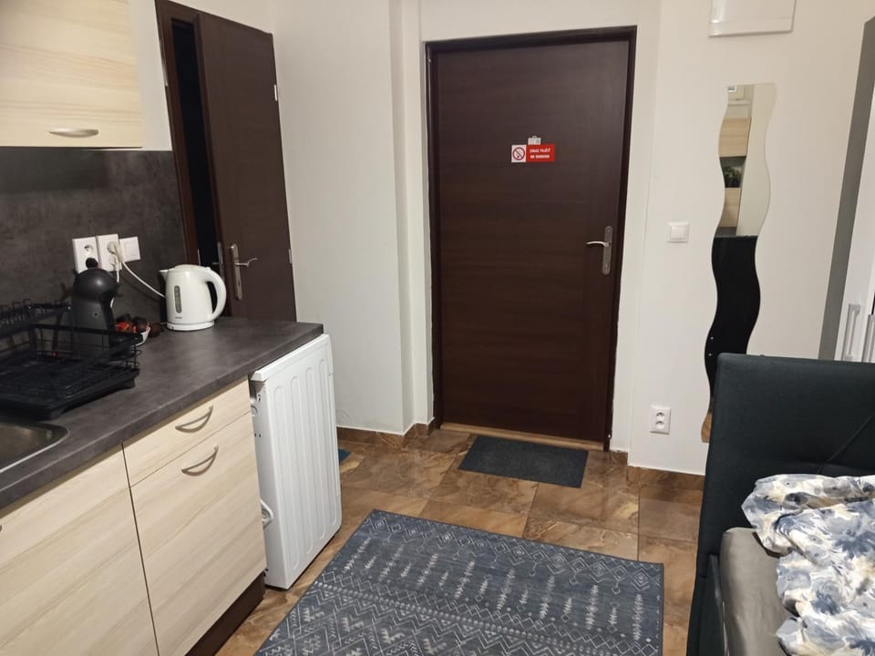 Basement Studio close to Train Station Apartment in Bratislava