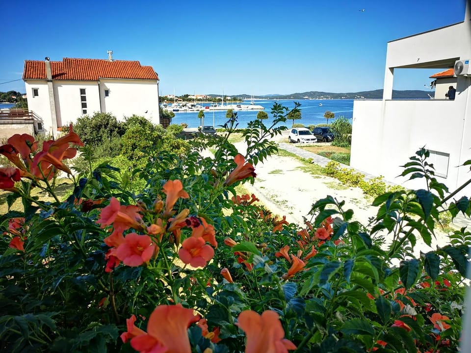 Day, Natural landscape, Garden view, Sea view