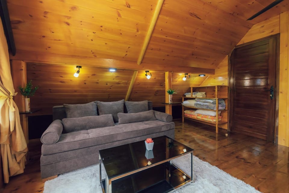 Chalet Tara Chalet in Montenegro