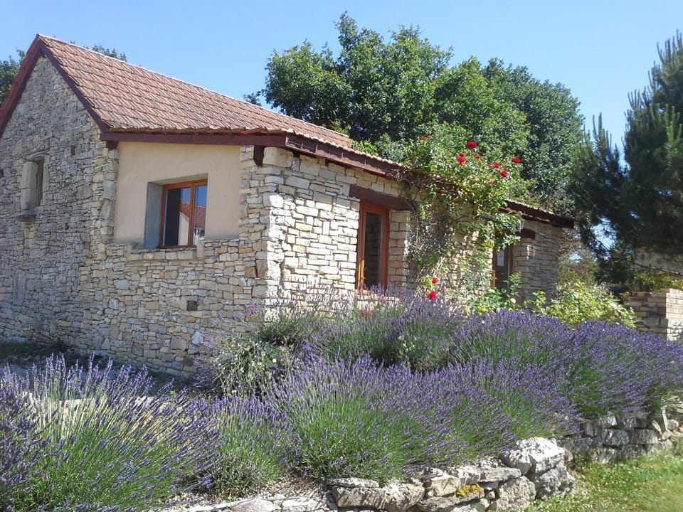 Game Room, Garden view