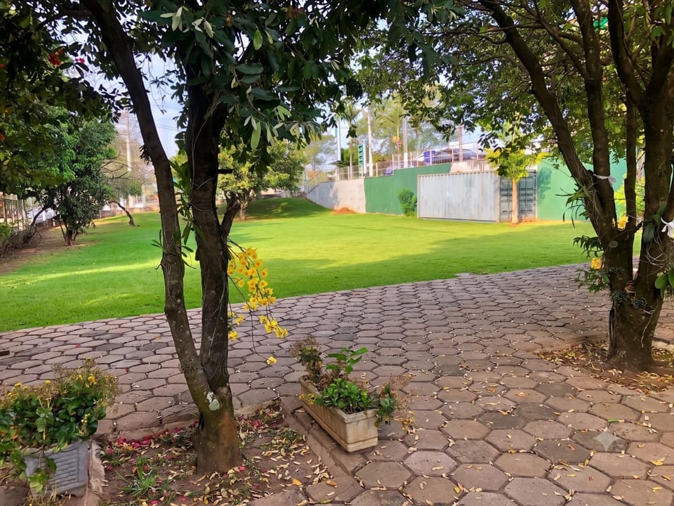 Garden view