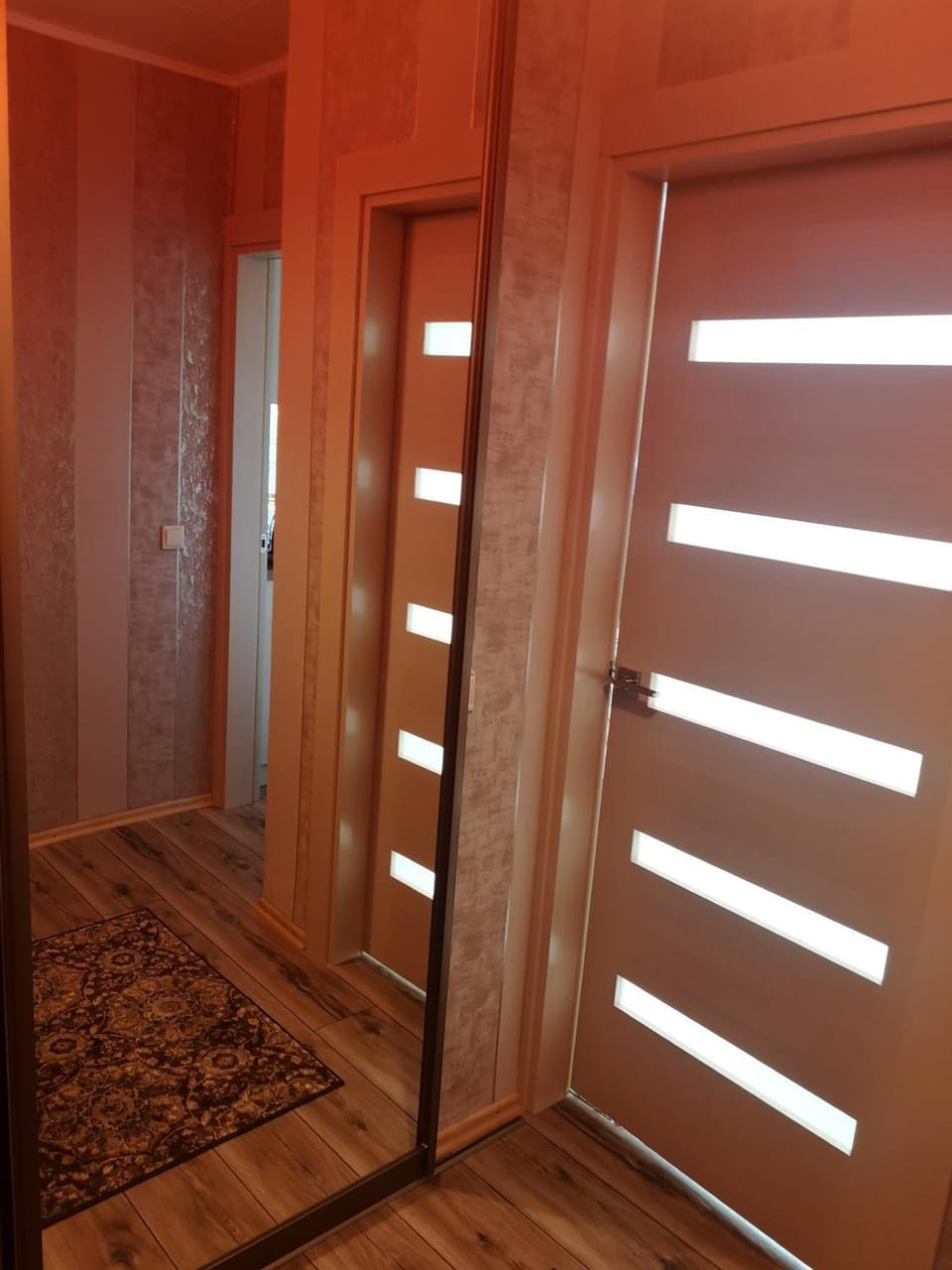 Čiurlionio 83 Druskininkai Apartment in Lithuania