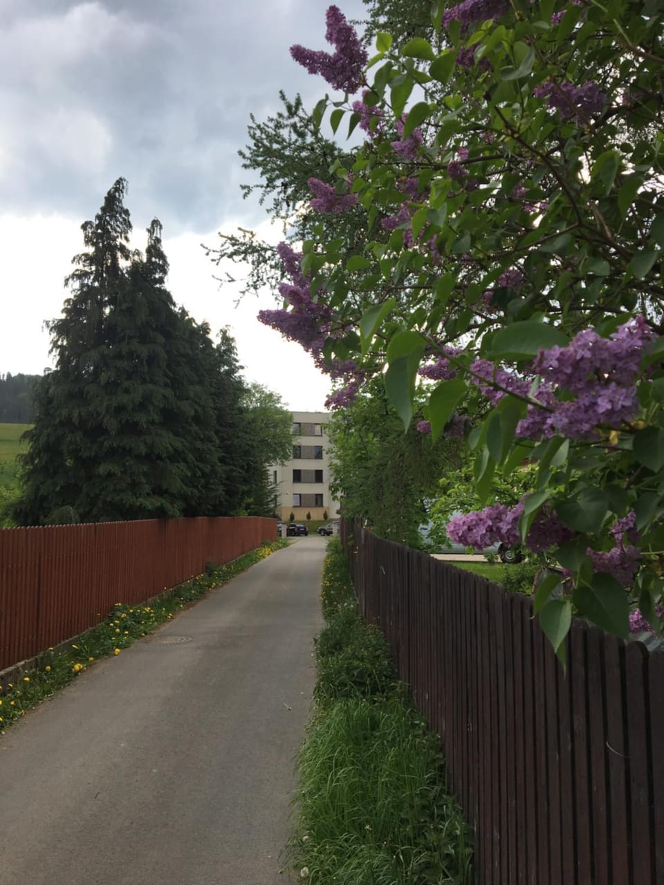 Neighbourhood