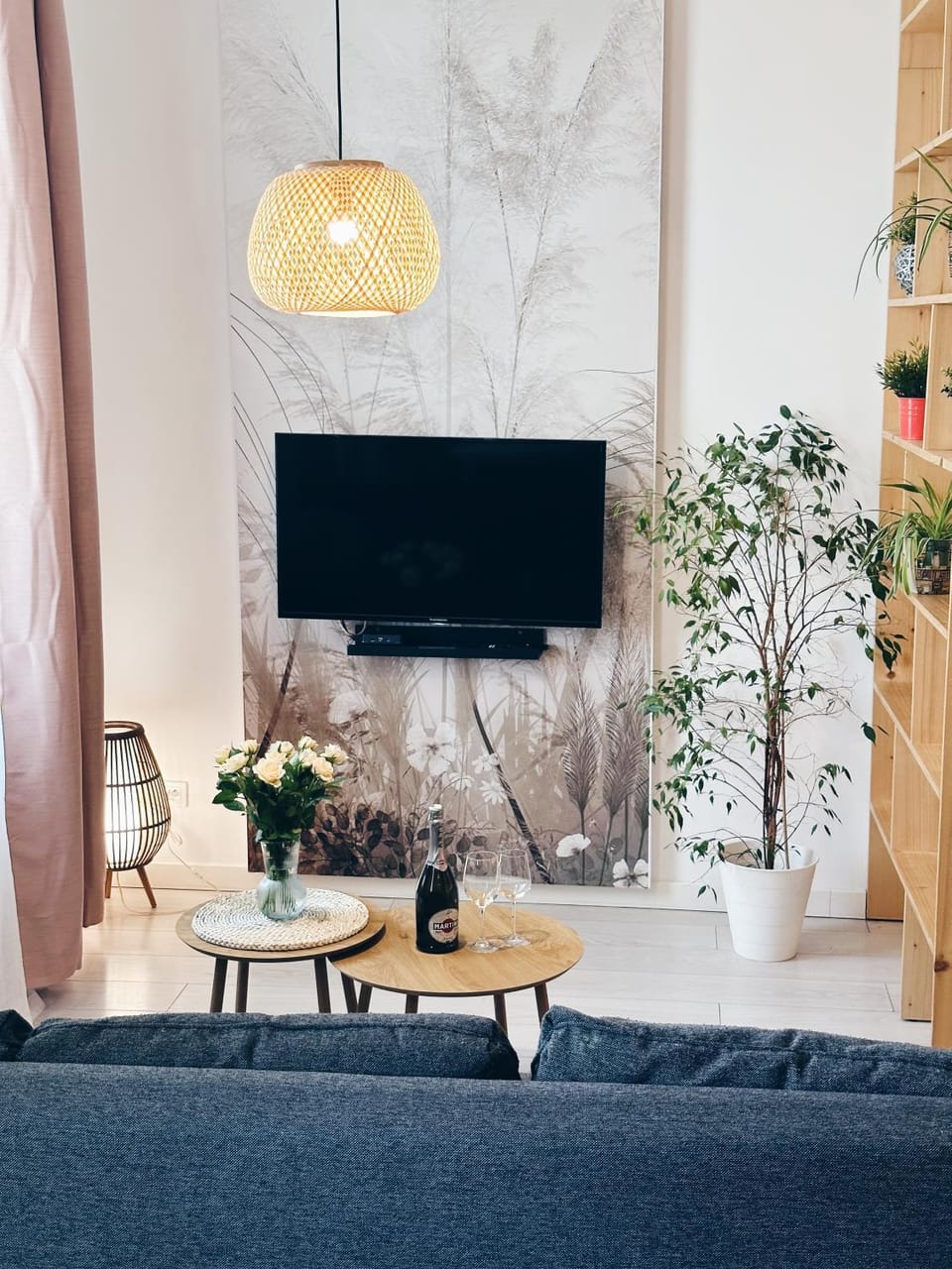 TV and multimedia, Living room