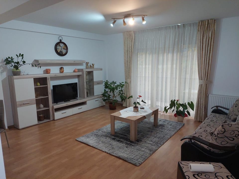 Cosy apartment I Apartment in Romania