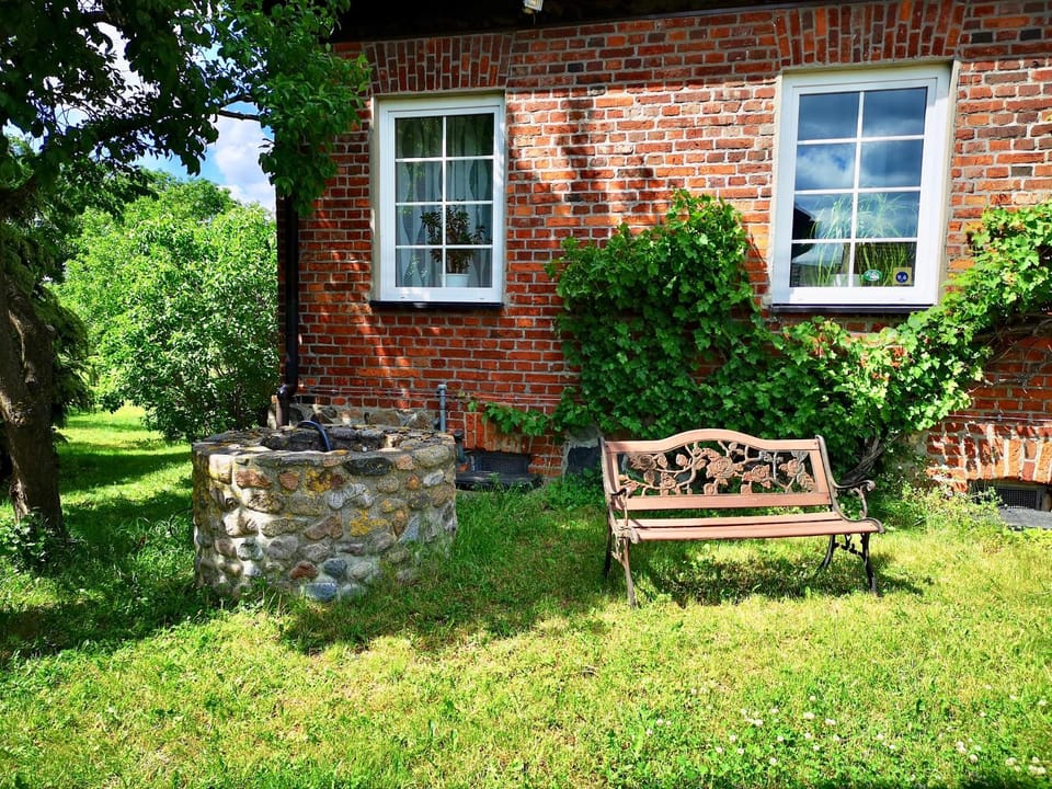 Patio, Garden, Garden view