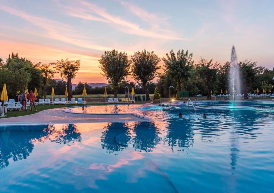 Summer, Garden, On site, Garden view, Pool view, Swimming pool, Sunset
