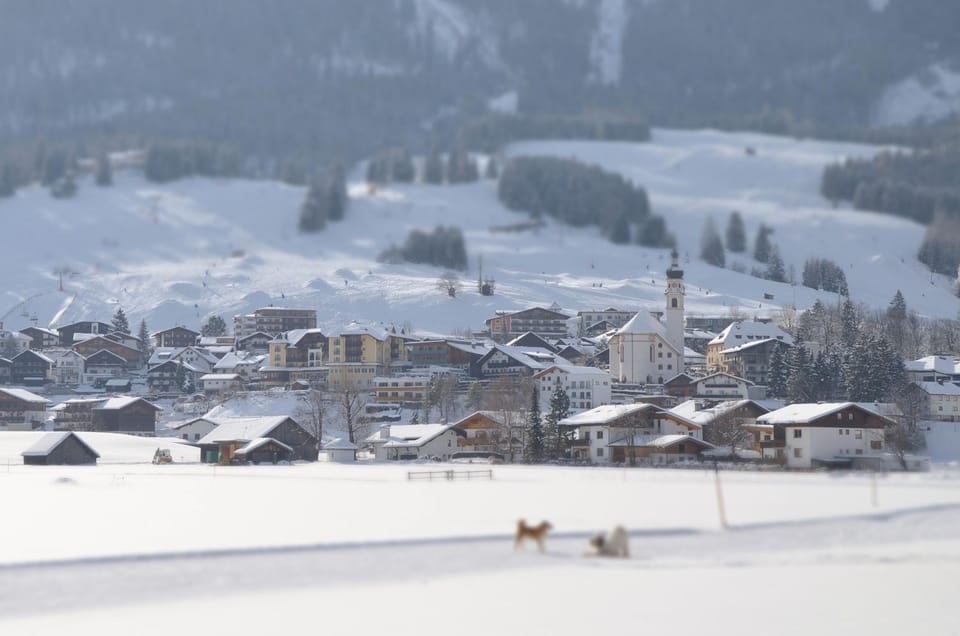 Winter, City view