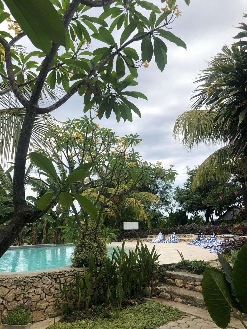 Garden, Swimming pool